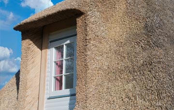 Kings Hedges thatch roof disadvantages