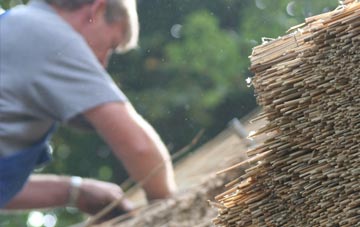 professional Kings Hedges thatchers